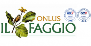 il faggio